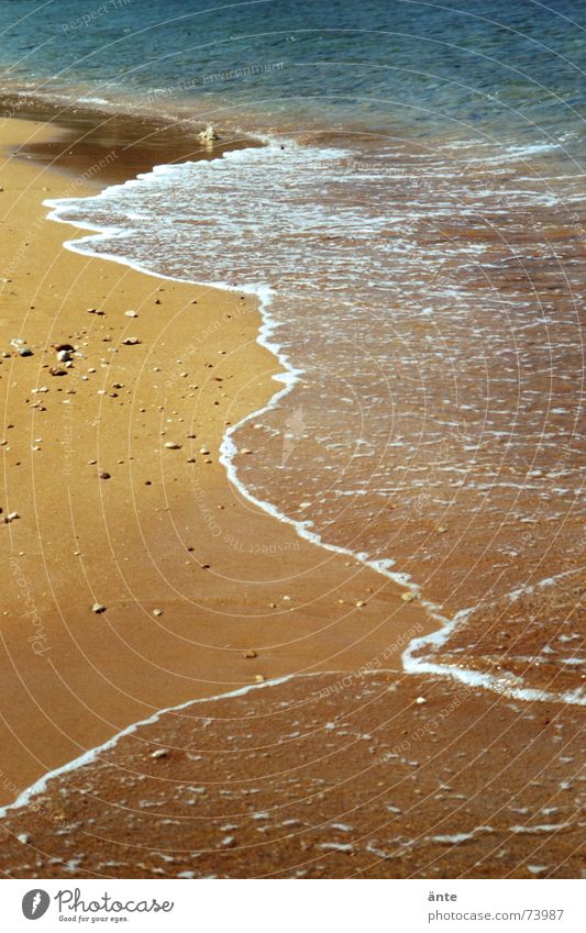 fernweh Malta Spaziergang Gozo Meer Strand Schaum Wellen Ferien & Urlaub & Reisen braun Kieselsteine Rauschen ausschalten leicht Einsamkeit Menschenleer