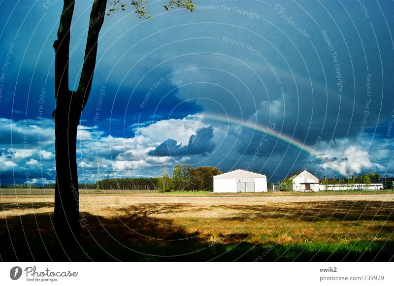 Regenbogen Umwelt Natur Landschaft Himmel Wolken Horizont Klima Wetter Schönes Wetter Pflanze Baum Haus hell ruhig Idylle Vergänglichkeit Wandel & Veränderung