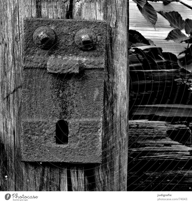 Oh! erstaunt erschrecken Schrecken Holz Befestigung Gleise Pflanze schwarz weiß oh Gesicht Gesichtsausdruck staunen Schraube vierkant Auge Nase Mund schwelle