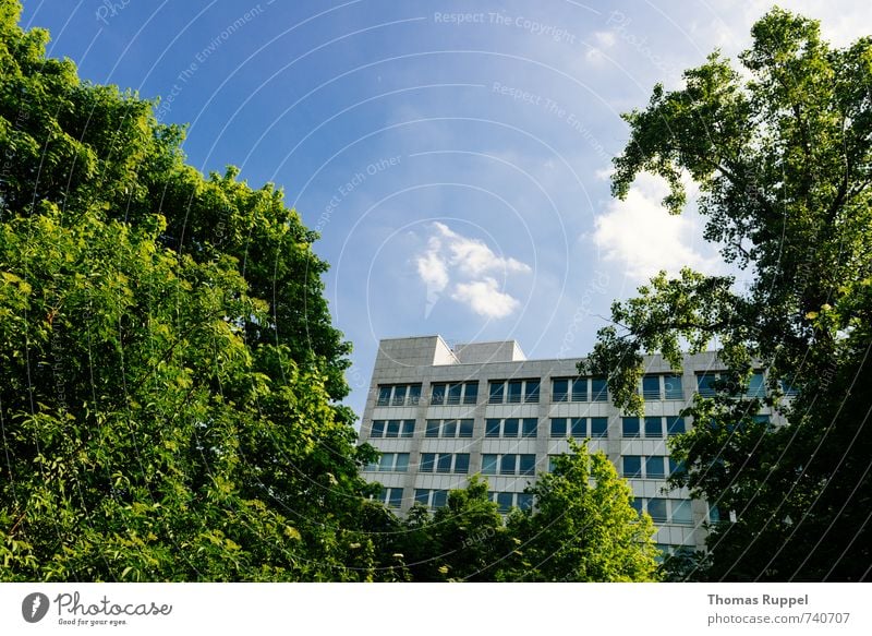 Hessentreffen 14 - Beton und das grün Ausflug Freiheit Natur Pflanze Himmel Wolken Frühling Schönes Wetter Baum Wald Offenbach Deutschland Europa Stadt