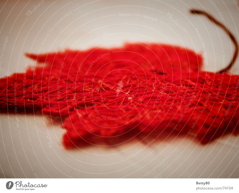 Kunstblättli Blatt Ahornblatt Herbst rot gestellt Strukturen & Formen Makroaufnahme Detailaufnahme