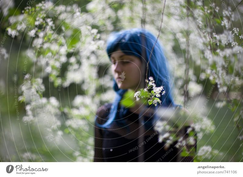 Frau mit blauen Haaren steht im Profil unter einem Baum mit weißen Blüten, ihre Augen sind geschlossen Perücke Schwache Tiefenschärfe Unschärfe verträumt