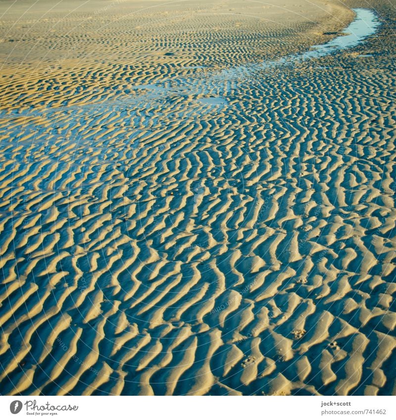 wet sand Ferne Strand Sand Wasser Küste Pazifik Ebbe Pazifikstrand authentisch exotisch glänzend Oberflächenstruktur Schattenspiel Naturphänomene Detailaufnahme