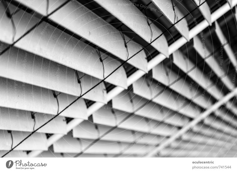 Verschiedene Grautöne von Grau Mauer Wand Coolness grau Rollladen Fensterladen Fluchtpunkt Streifen Rollo Strukturen & Formen geschlossen Schwindelgefühl