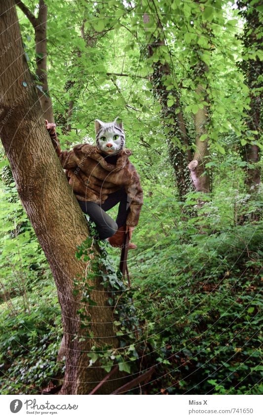 Miau Mensch androgyn 1 18-30 Jahre Jugendliche Erwachsene Natur Baum Efeu Wald Urwald Tier Wildtier Katze sitzen wild Maske Tiergesicht Katzenkopf verkleiden