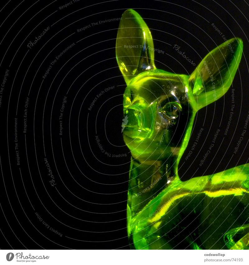 jeannine Hirsche grün gelb schwarz Reflexion & Spiegelung Säugetier Dekoration & Verzierung deer black colour Farbe plastic Statue Kunststoff reflection glass