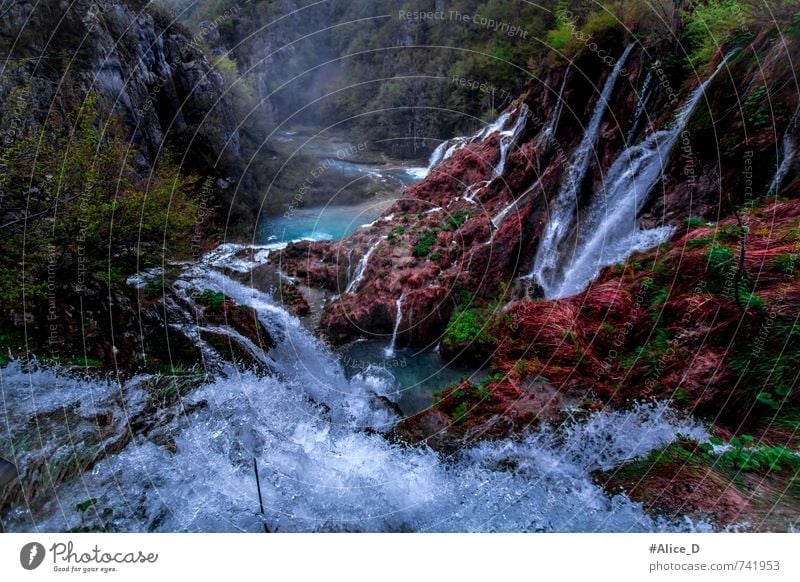 Wunderland Umwelt Natur Landschaft Pflanze Urelemente Wasser Wassertropfen Park Schlucht Wasserfall Plitzvicer Wasserfälle blau braun grün rot türkis Farbfoto
