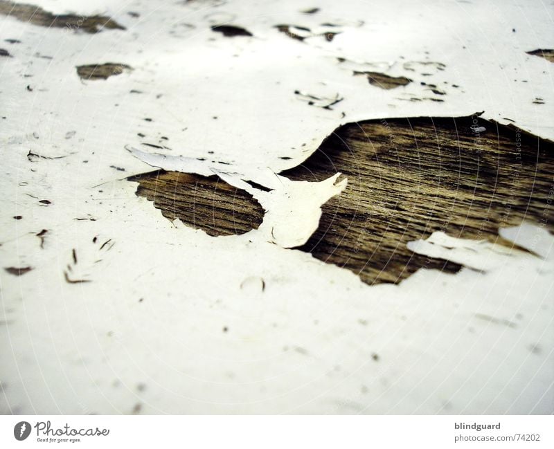 Out Of Lack [.] trocken porös Holz Holzmehl abblättern Vergänglichkeit labil Loch aufgebrochen Verfall sitzfläche Stuhl morbide alt am löchesten abgebrochen
