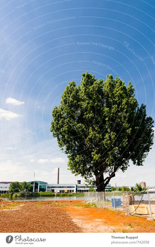 Hessentreffen 14 - Baum Natur Pflanze Himmel Wolken Stadt Stadtrand Menschenleer Industrieanlage Wege & Pfade blau grün Farbfoto Außenaufnahme