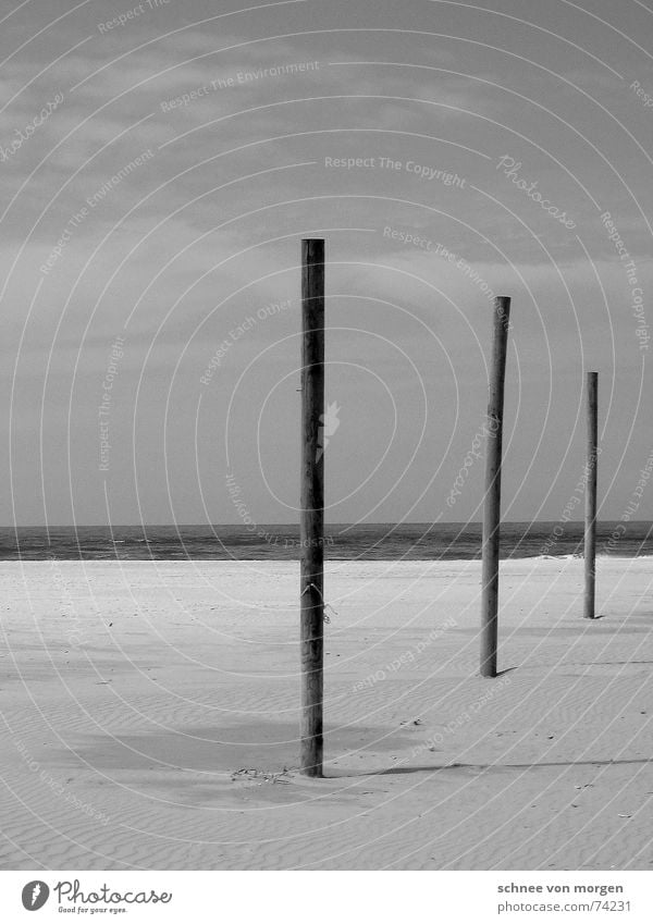 in einer linie Meer Strand See Stock Holz Horizont ruhig leer Natur Umwelt Sand Wasser Linie hoch warum? Schatten ohne grund verrückt sea water Neigung