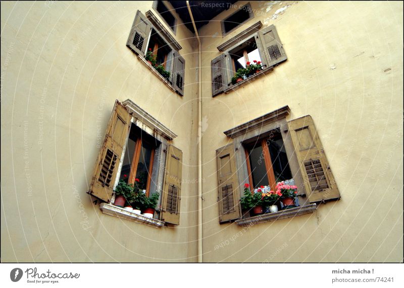 eng Fenster Fensterladen Blume Wand Haus Italien Gardasee beige braun hauseck mediteran arco Röhren