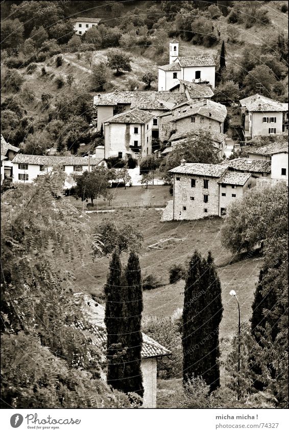 bella italia Gardasee Italien Lombardei Haus Dorf klein niedlich Baum Berghang Landschaft tremosine einzeln Berge u. Gebirge Schwarzweißfoto bw