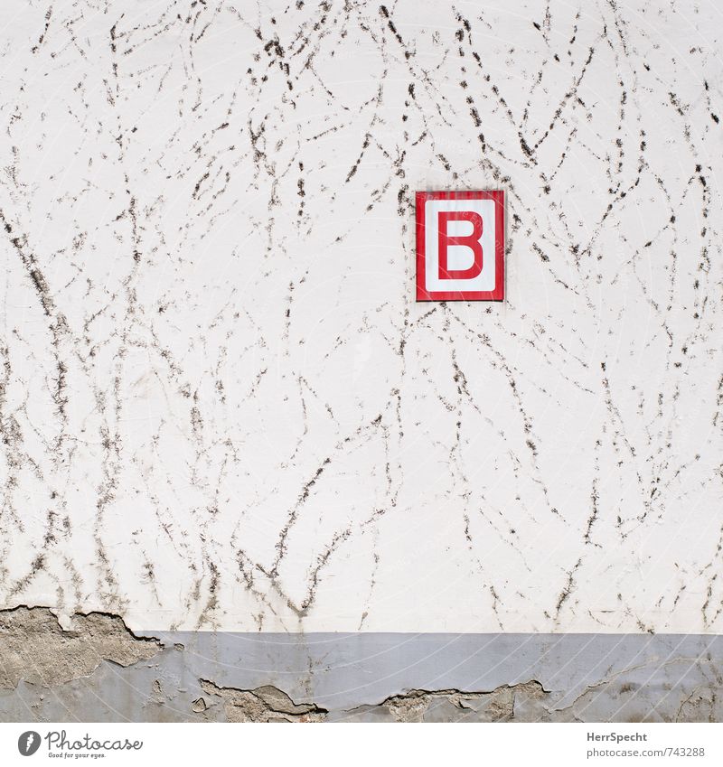 B wie Bewuchsverbot Antwerpen Belgien Stadt Altstadt Haus Bauwerk Gebäude Mauer Wand Zeichen Schriftzeichen Schilder & Markierungen trashig trist grau rot weiß