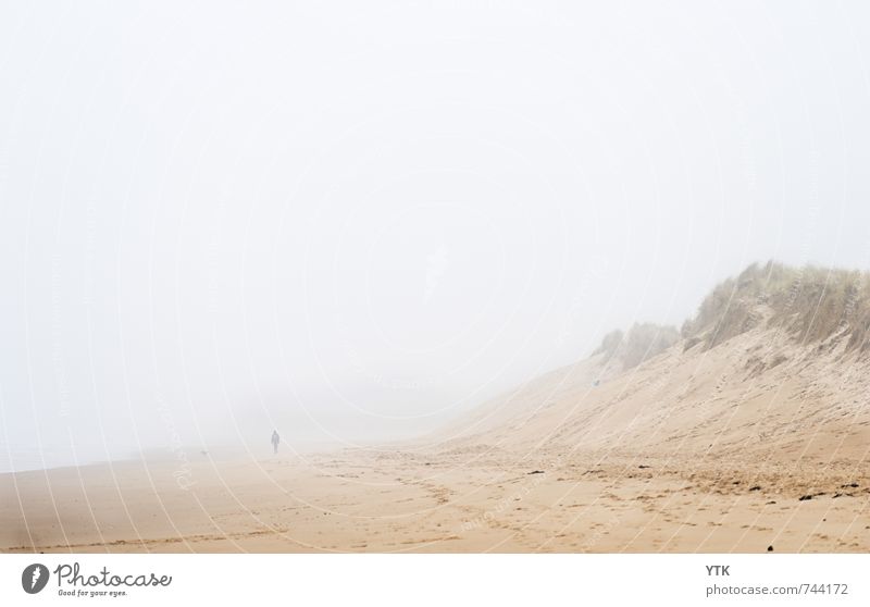Coming out of the Fog Mensch 1 Umwelt Natur Landschaft Klima schlechtes Wetter Nebel Küste Strand kalt Stimmung Einsamkeit Angst einzeln Ferne Unendlichkeit