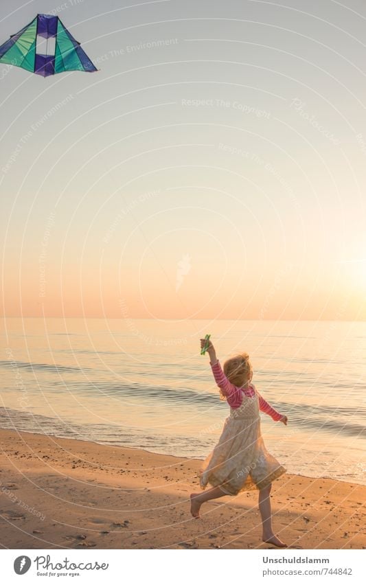 ...höher als die Sonne! Lifestyle Spielen Kinderspiel Drachenfliegen Mensch Mädchen Kindheit Leben 3-8 Jahre Sommer Strand Nordsee Fröhlichkeit schön Glück