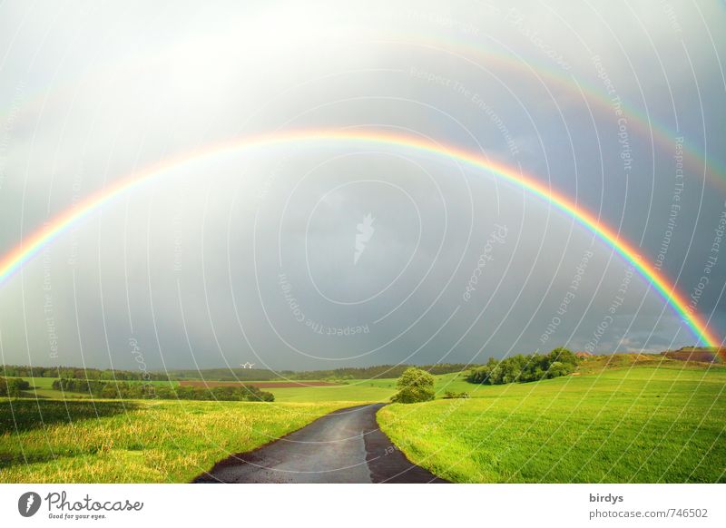 zwei Regenbögen über einer grünen Landschaft mit einem Feldweg Regenbogen Natur Weg Urelemente Gewitterwolken Horizont Frühling Sommer Wiese Straße leuchten