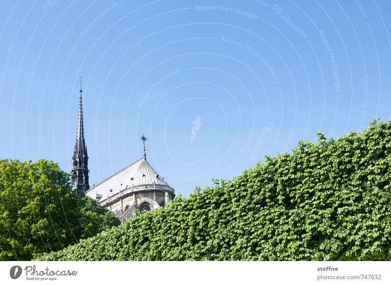 Dame, Hinterteil Wolkenloser Himmel Frühling Schönes Wetter Hecke Paris Frankreich Stadt Hauptstadt Kirche Sehenswürdigkeit Wahrzeichen Notre-Dame blau grün