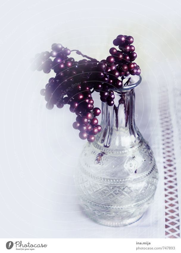 Dekoration Pflanze Glas Kitsch trist trocken rot weiß Vase Dekoration & Verzierung Beeren Tischdekoration Blume Herbstbeginn herbstlich Winter Winterstimmung