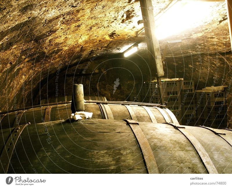 Weinfässer in einem alten Weinkeller Mosel (Weinbaugebiet) Keller Eichenfass Rotwein Weinprobe Filmriss Mineralwasser Kellergewölbe federweisser gärung