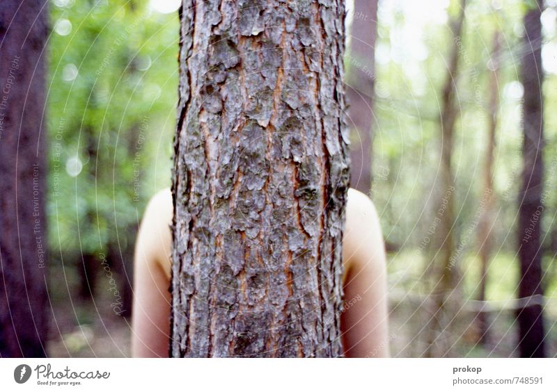 frieden. Mensch feminin Junge Frau Jugendliche Leben Arme Umwelt Natur Landschaft Pflanze Schönes Wetter Baum Wald stehen schön Gefühle Zufriedenheit