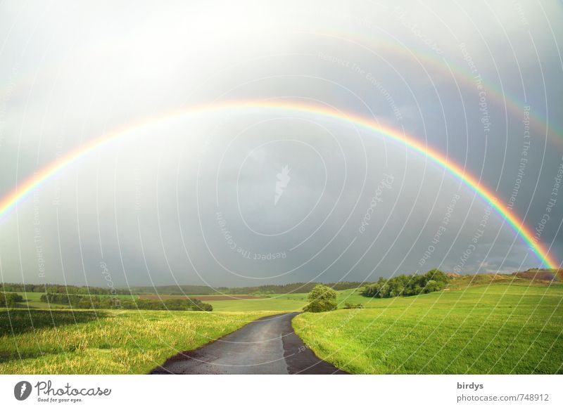 1000 - Danke Landschaft Urelemente Gewitterwolken Horizont Sommer Wiese Straße Regenbogen regenbogenfarben ästhetisch außergewöhnlich fantastisch positiv rund