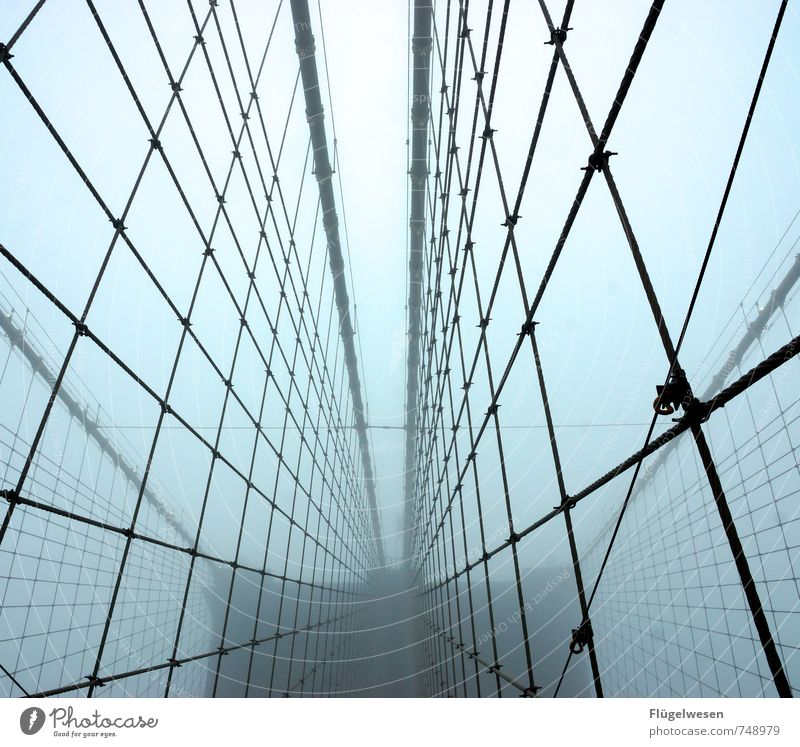 Die Brooklyn Bridge und der Nebel III Umwelt Natur Klimawandel Wetter schlechtes Wetter Unwetter Stadtzentrum Stadtrand Skyline überbevölkert Brücke Bauwerk