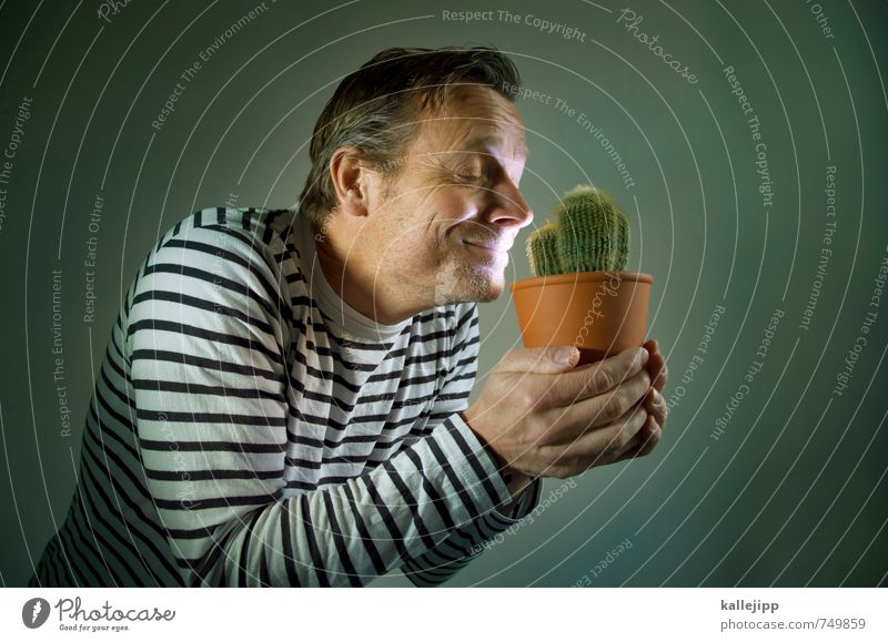 der kakteenversteher Mensch maskulin Mann Erwachsene Kopf 1 30-45 Jahre Umwelt Natur Pflanze Grünpflanze Topfpflanze Lächeln Liebe Geruch Duft Zuneigung
