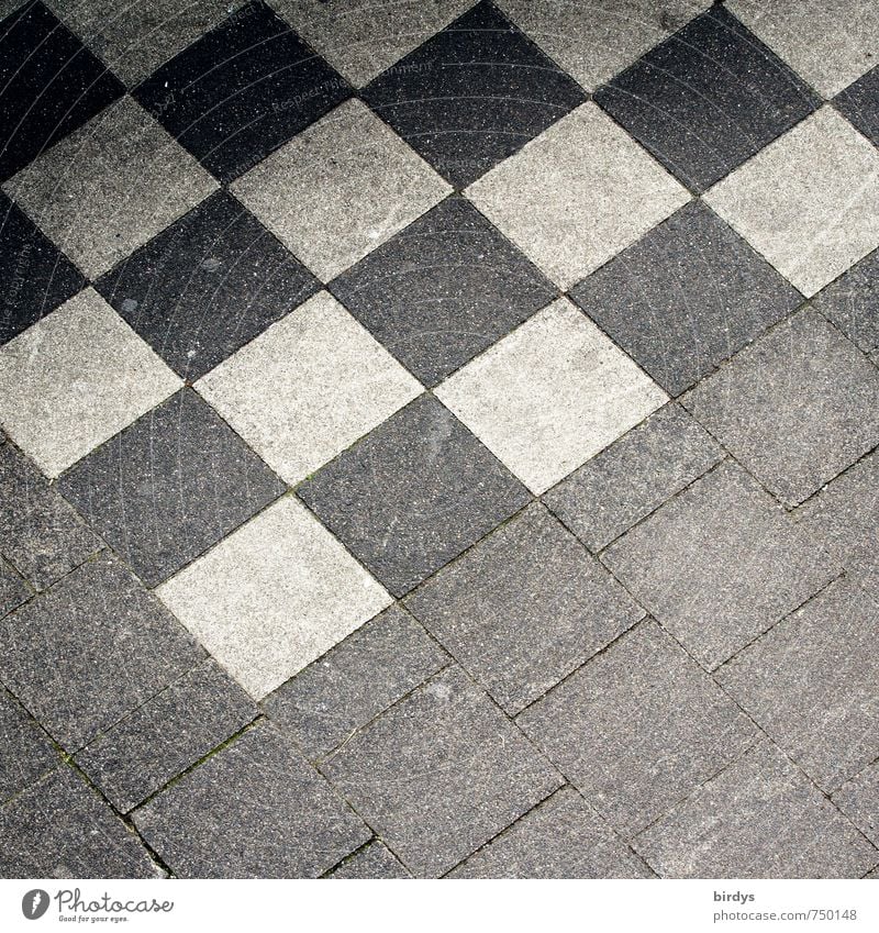 Schachbrettmuster Platz Bürgersteig ästhetisch einfach positiv grau schwarz weiß Design Symmetrie Stadt Muster kariert Quadrat Bodenplatten Anschnitt abstrakt
