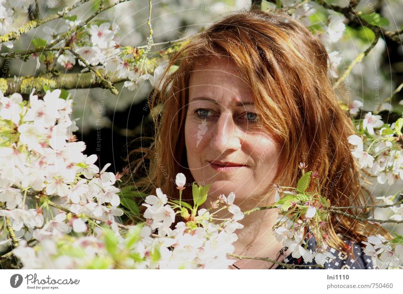 AST 7 | Kirschblütenbitti II Junge Frau Jugendliche Kopf Gesicht 1 Mensch Sonnenlicht Frühling Schönes Wetter Baum Blatt Blüte Park genießen Lächeln machen