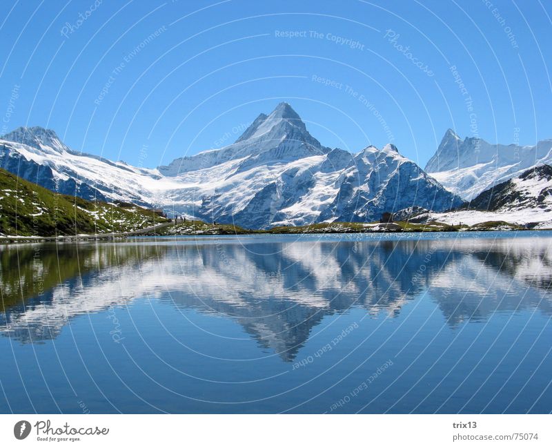 schreckhorn Schreckhorn weiß See Reflexion & Spiegelung 2 Wiese Panorama (Aussicht) Berge u. Gebirge Spitze Schnee Himmel blau Wasser Natur Alpen Horn Idylle