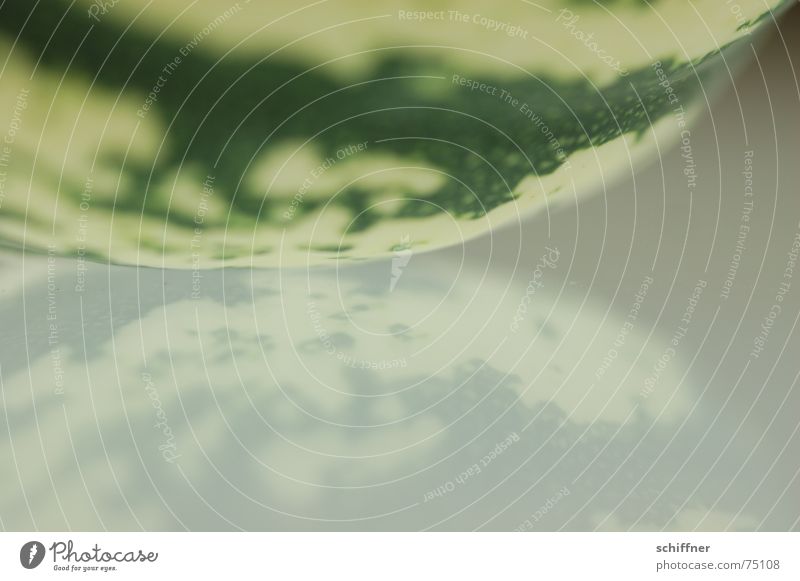 Kürbis1 grün Reflexion & Spiegelung Hintergrundbild Erde Strukturen & Formen