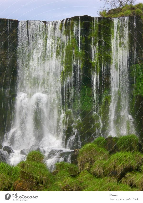 lebenselixir Wasserfall grün Gras Brasilien Südamerika Argentinien Iguazu Fälle Leben foz argentina water