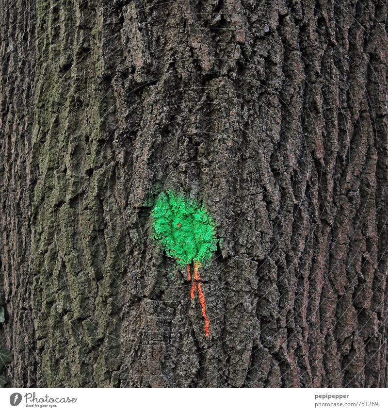 grüner punkt mit roter spur Maler Umwelt Natur Baum Garten Park Wald Urwald Holz braun Farbfoto Außenaufnahme Nahaufnahme Detailaufnahme Menschenleer