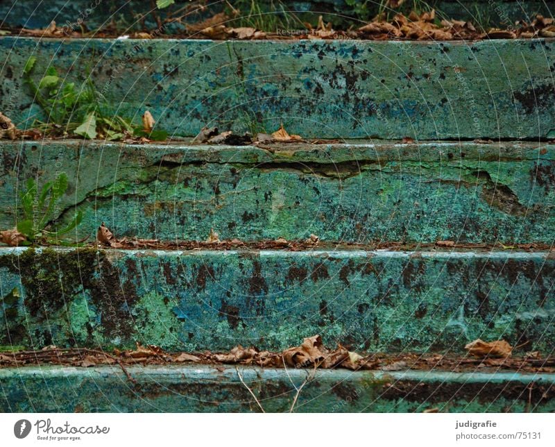 Stufen parallel grün türkis Schwimmbad verfallen Blatt Verfall abblättern abwärts Blick nach unten horizontal Herbst Grünspan verwittert Treppe Linie blau alt