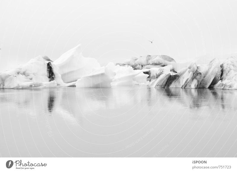 Island II Umwelt Landschaft Wasser Gletscher Jökulsárlón ästhetisch kalt grau weiß Schwarzweißfoto Außenaufnahme Tag Kontrast Reflexion & Spiegelung