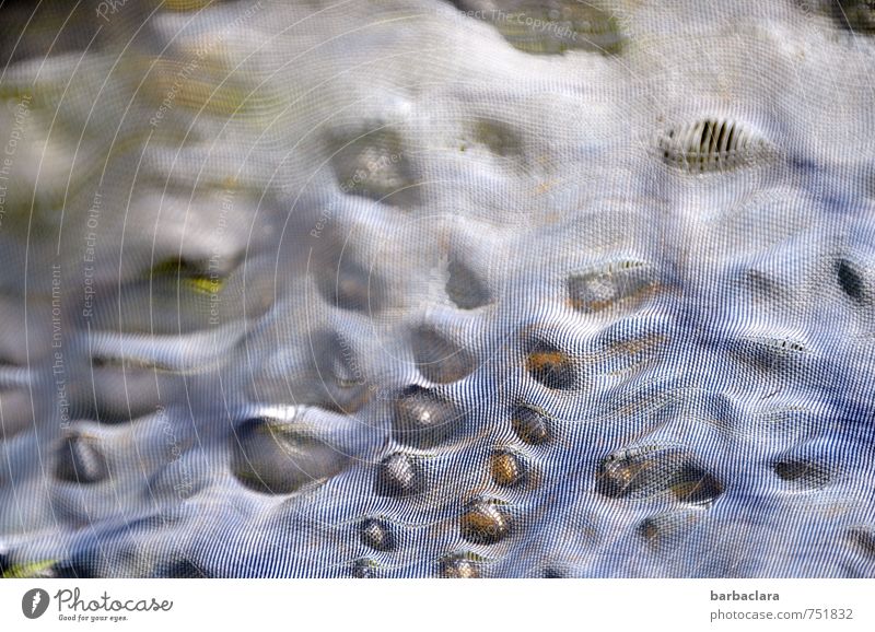 bizarr | aber echt Pflanze Gras Garten Feld Verpackung Sack Abdeckung Textilien Netz Kunst Schutz Surrealismus Umwelt Illusion Gedeckte Farben Außenaufnahme