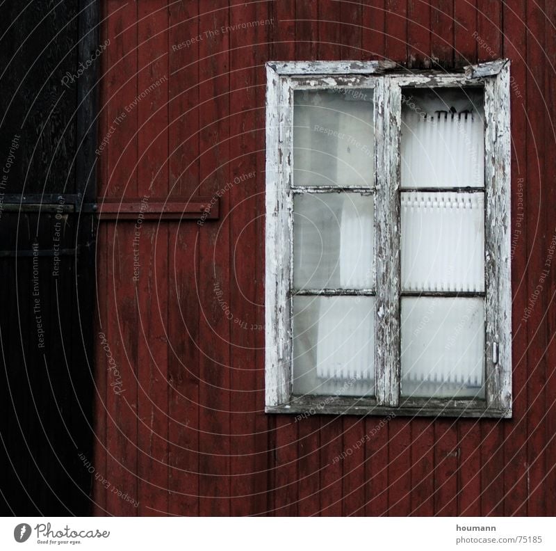 Nicht heraus schauen Wand Holzhaus rot Dänemark Fenster schwarz getragen Detailaufnahme verfallen old window red black worn wood house alt
