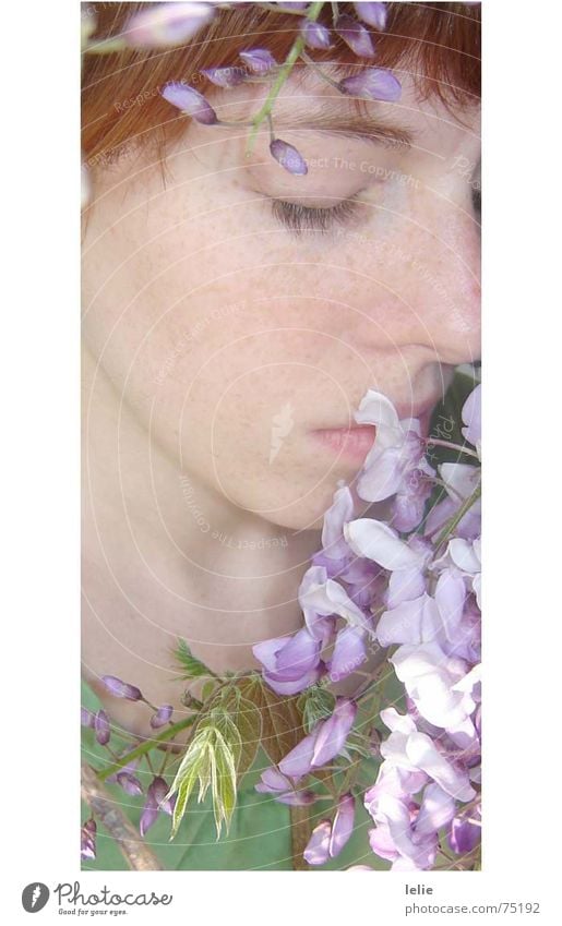 flowerchild Blume violett Märchen Frühling träumen Porträt fein verträumt Sommersprossen grün Frau Schlüsselbein zart Elfe Auge Pflanze Wimpern