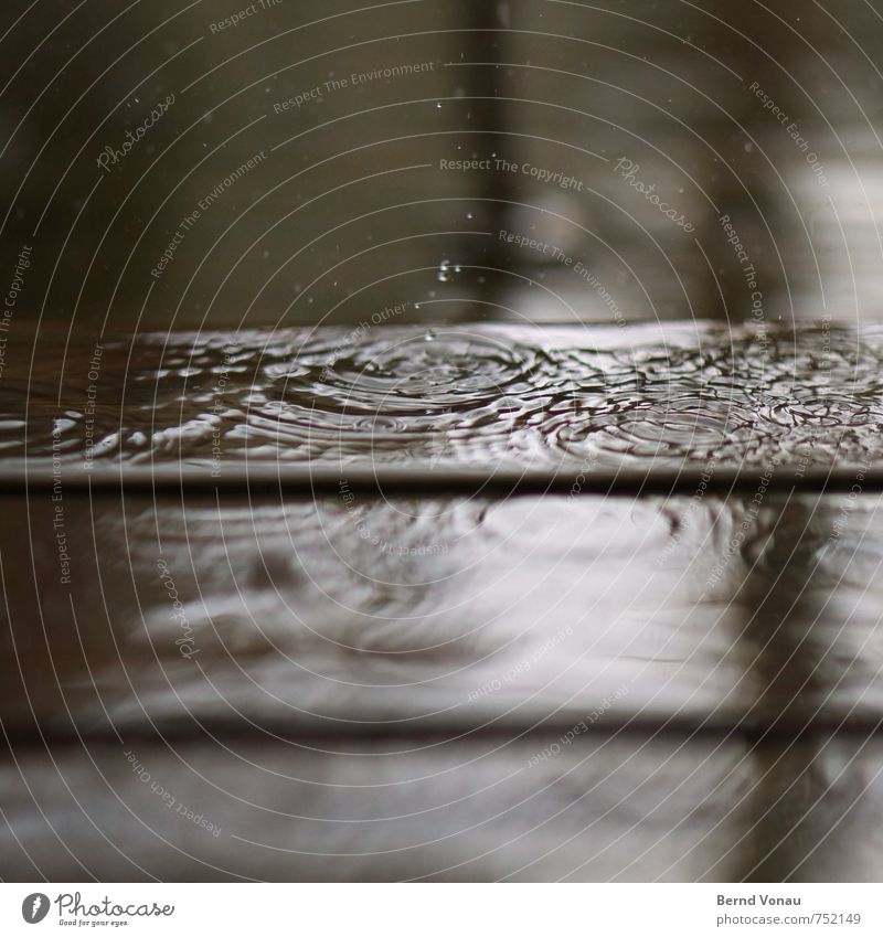 da draußen Wasser Wassertropfen schlechtes Wetter Regen ästhetisch braun grau schwarz weiß Kreis Terrasse Holz Reflexion & Spiegelung Wasseroberfläche