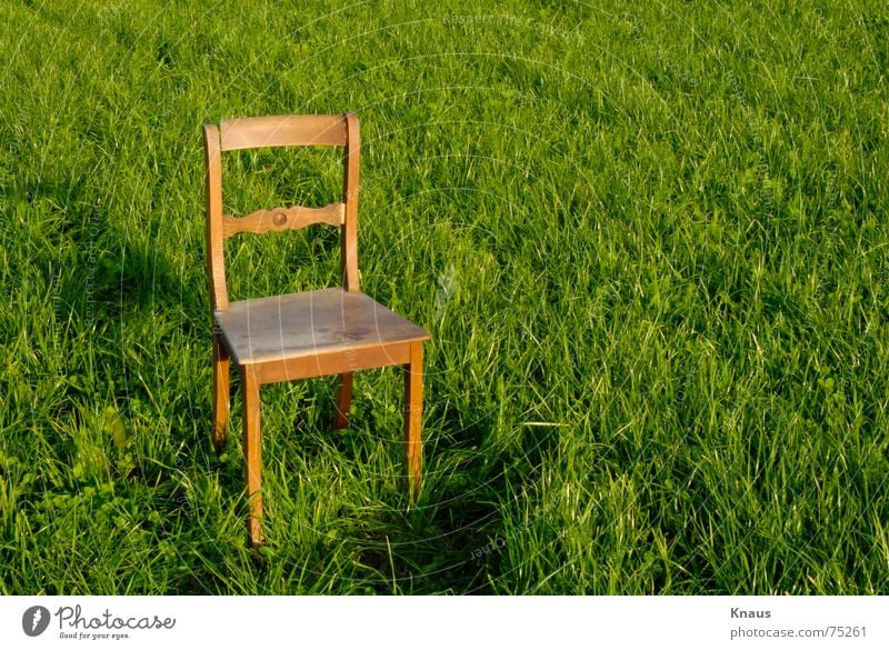 Chair Wiese grün Holzmehl abstrakt Kunst hellgrün Stuhl chair Rasen grass Einsamkeit abstract alone