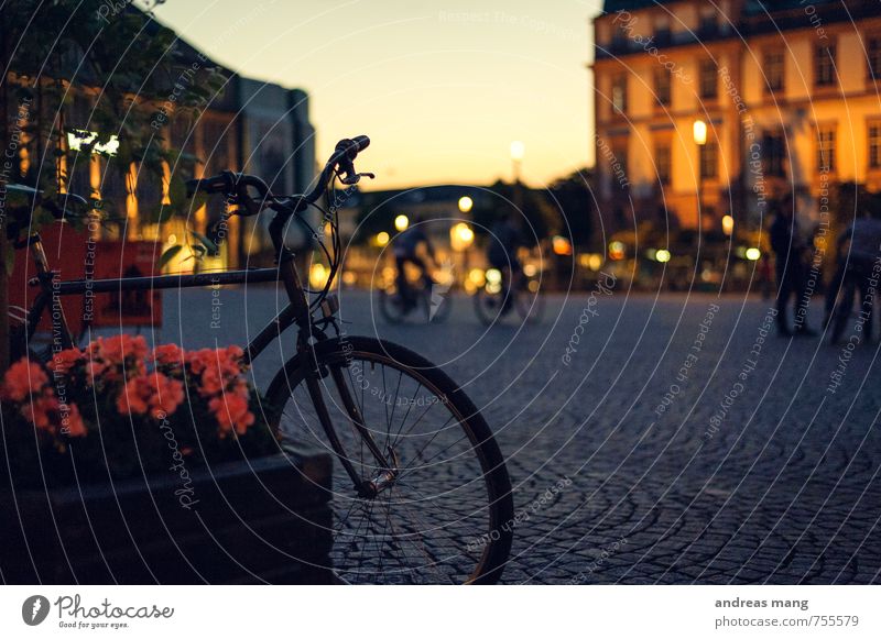 Fahrrad Ferien & Urlaub & Reisen Tourismus Fahrradtour Fahrradfahren Stadt bevölkert Platz Fußgänger Erholung warten Abenteuer Beginn Freizeit & Hobby Pause