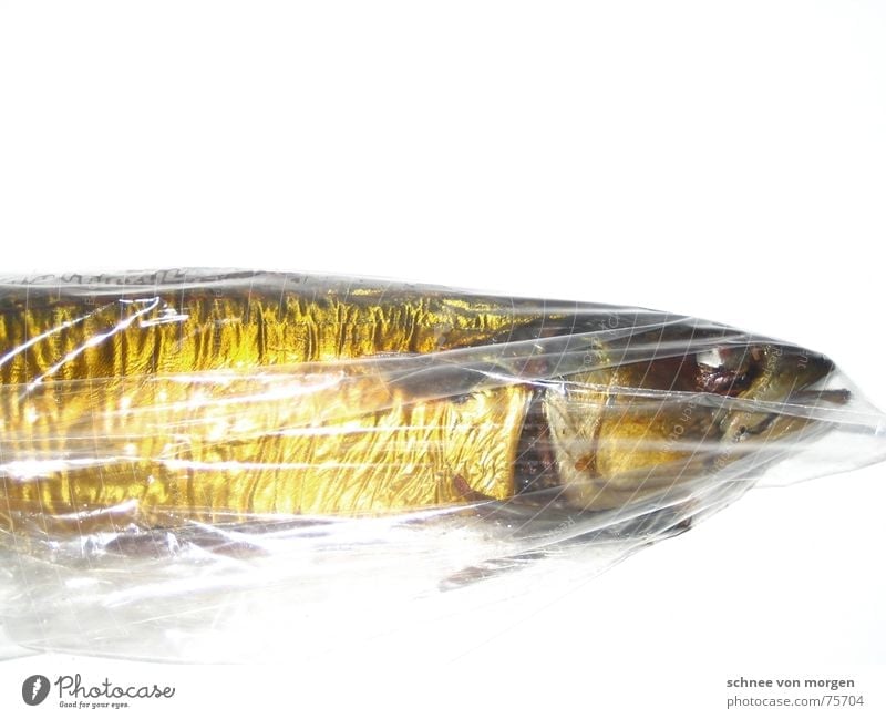 kein wasser Makrele Tod Meer vergangen Kieme gelb glänzend leer Lebensmittel Ernährung Natur Umwelt fish Wasser sea Auge gold ruhig Linie Haut Maul Mund