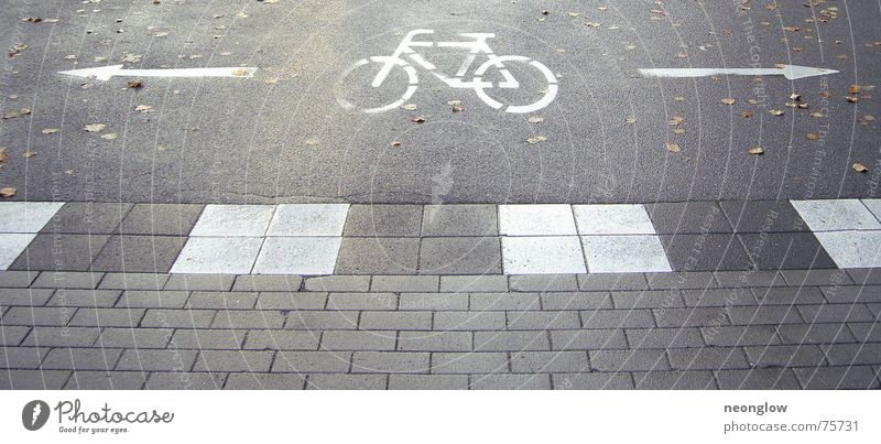 Fahrradfluchtwege dunkel Herbst Wege & Pfade Pfeil Bodenbelag Zeichen Hinweisschild
