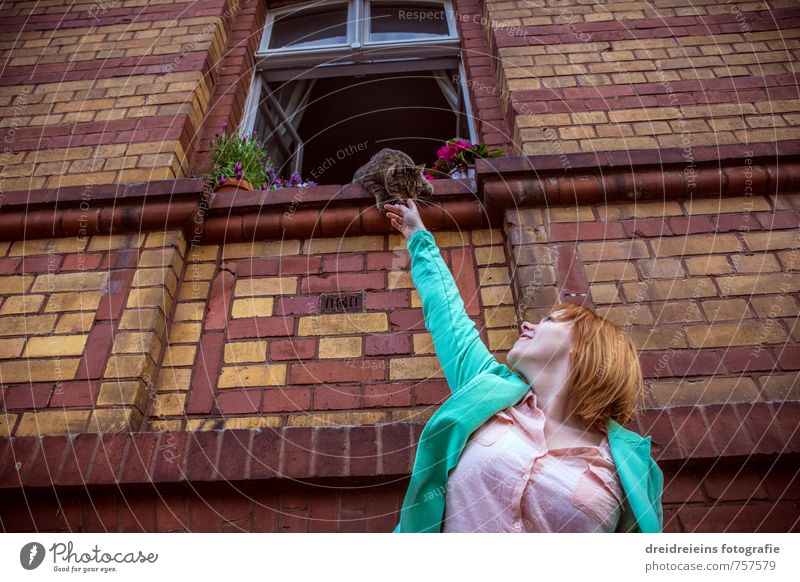 Die Katze auf der Fensterbank Mensch feminin Frau Erwachsene 1 Pflanze Blume Blüte Topfpflanze Haus Mauer Wand Fassade Hemd Jacke rothaarig langhaarig Tier