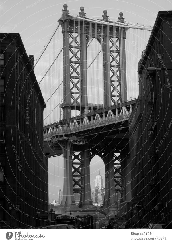 New York, New York Empire State Building New York City USA Hochhaus schön Brooklyn Bridge Amerika Grauwert Durchblick New York State Drahtseil Seiltänzer