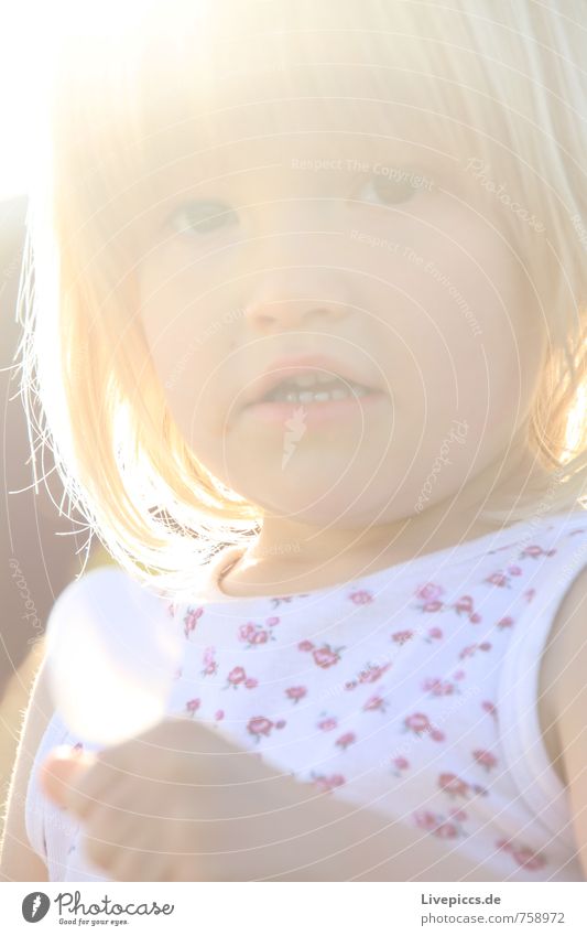 M.E.W. Mensch feminin Kind Mädchen Kopf 1 3-8 Jahre Kindheit Sonne Sonnenlicht Blick schön Wärme weich Farbfoto Außenaufnahme Tag Licht Sonnenstrahlen