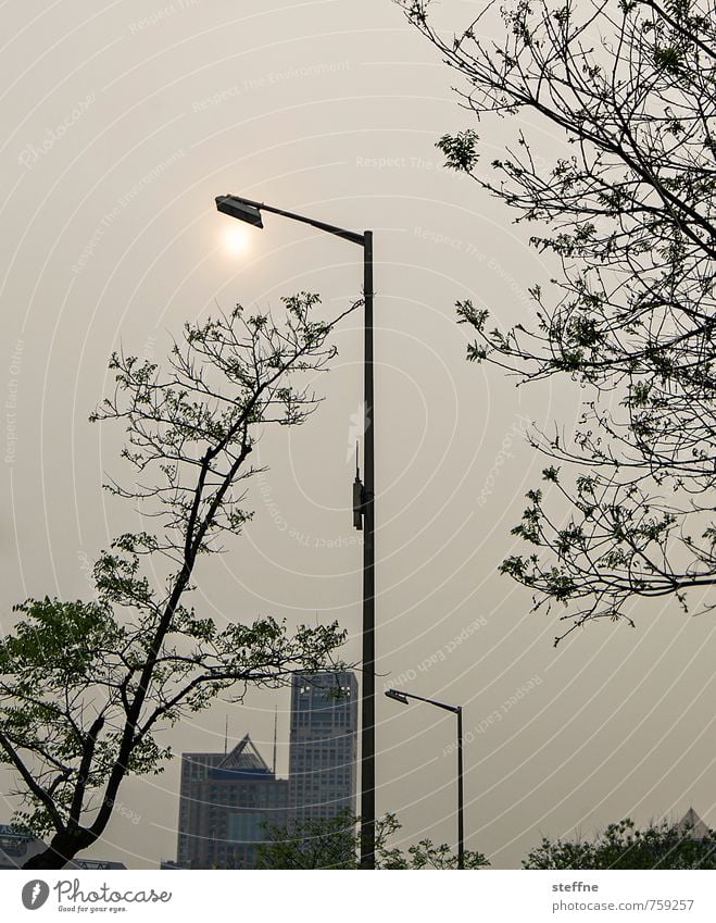 Straßenbeleuchtung Peking China Stadt Stadtleben Hochhaus überbevölkert Umweltverschmutzung Smog Stadtzentrum modern Laterne Baum Sonnenuntergang Abend