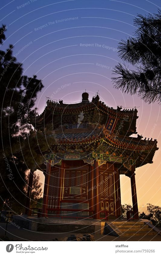 schmachtig Peking China historisch Tempel Sonnenuntergang Kitsch Farbfoto Textfreiraum oben