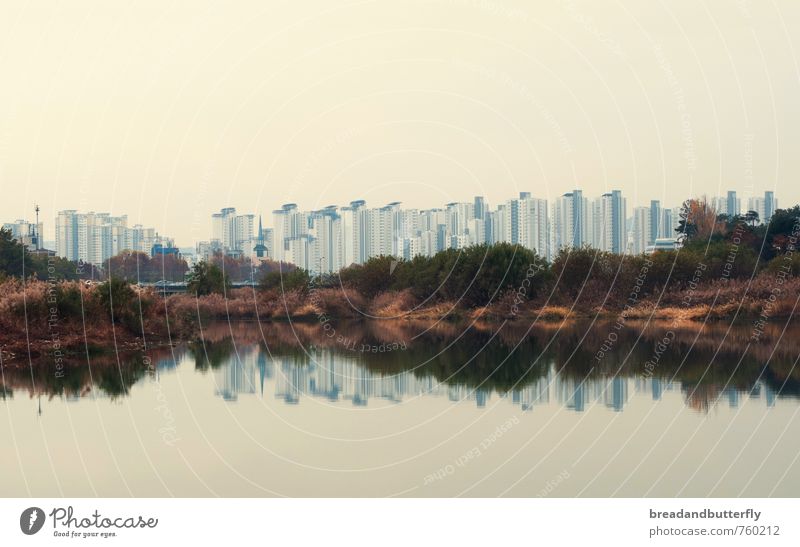 Reflektion Wasser Flussufer Süd Korea Asien Stadt Haus Hochhaus kalt trist modern Symmetrie Wachstum Farbfoto Außenaufnahme