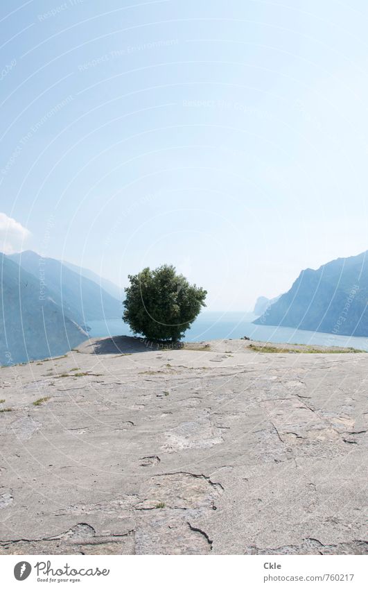Lago di Garda Ferne Sommer Sonne Berge u. Gebirge Natur Landschaft Pflanze Himmel Sonnenlicht Schönes Wetter Baum Monte Brione Gipfel Küste Seeufer Gardasee